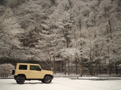 奥多摩湖 降雪 ①