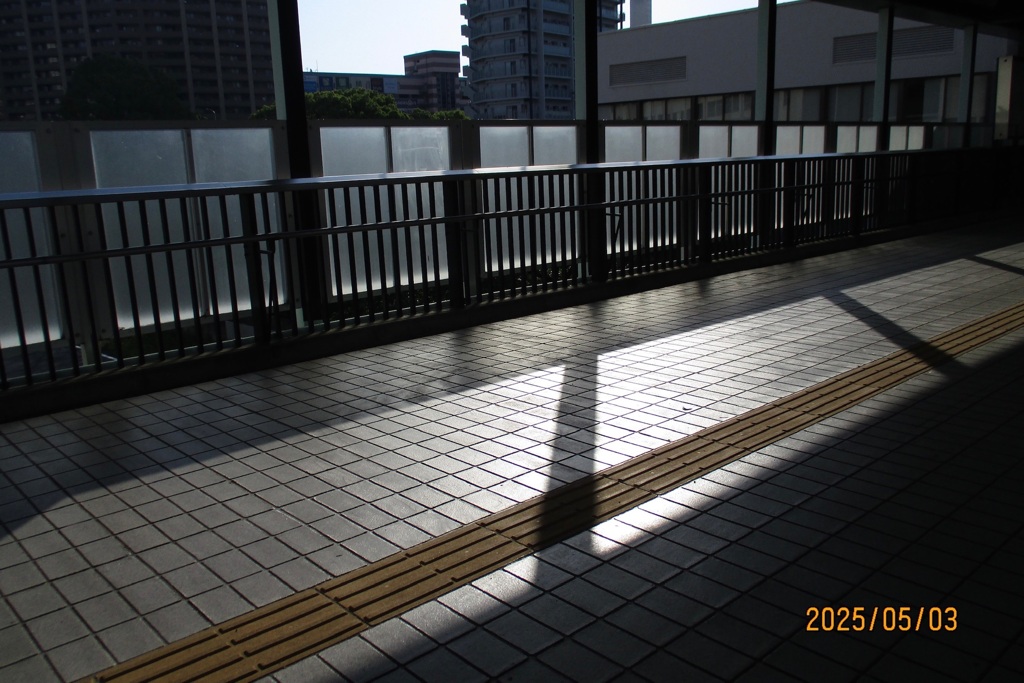 朝の光