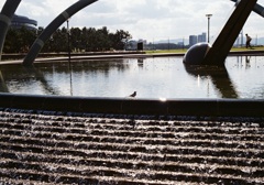 光、水、小鳥、人