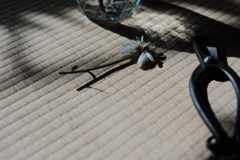 ありがとう  さよなら