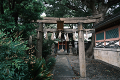 地元