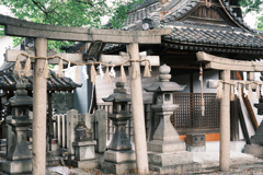 地元