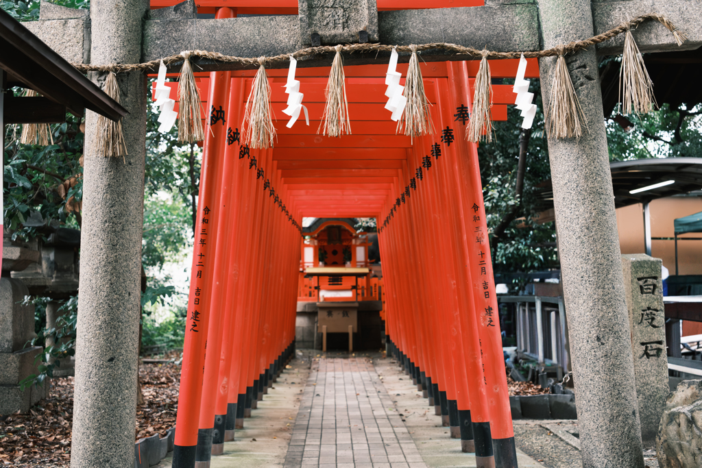 地元