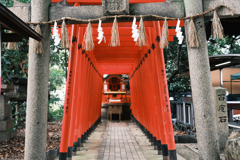 地元