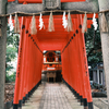 地元