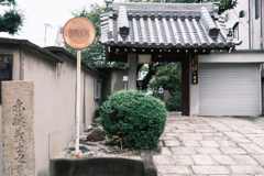 地元