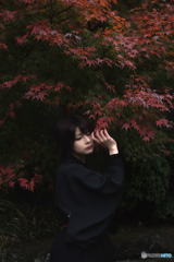 紅