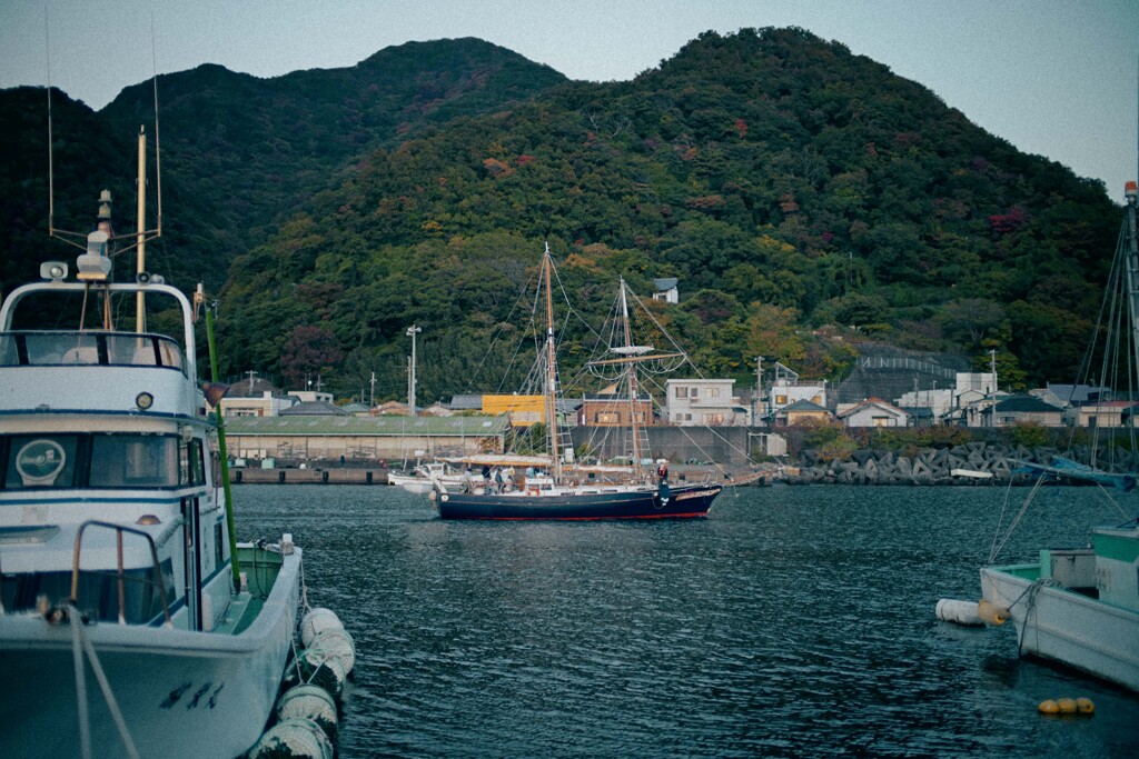 フィルムグレイン