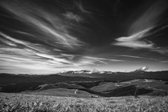 甘利山-Mount Amari