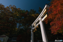 寶登山神社 二の鳥居