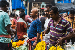 コルカタ　フラワーマーケット