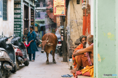 バラナシ・ロード