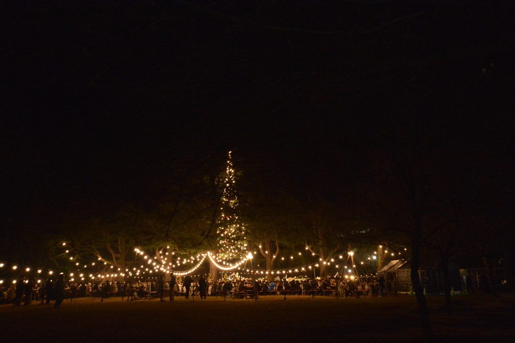 暗闇に浮かぶクリスマスマーケットの光