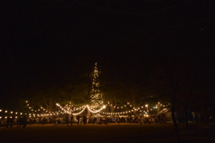 暗闇に浮かぶクリスマスマーケットの光