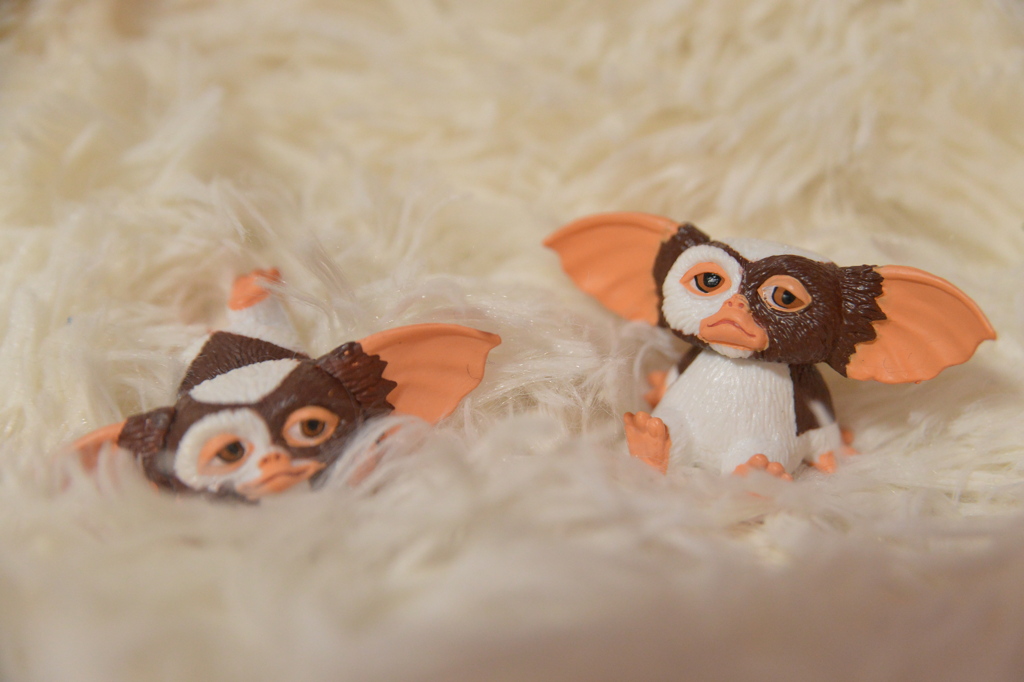 かわいいペット