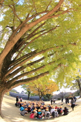 木陰に集合