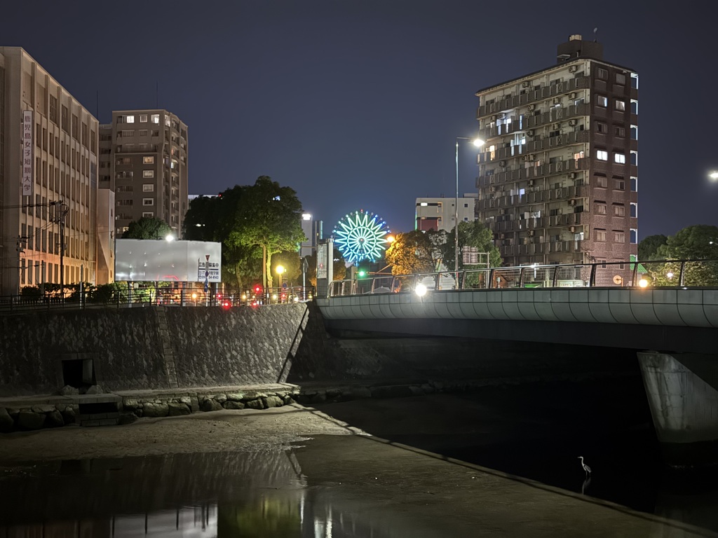 暗がりにアオサギ