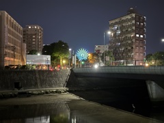 暗がりにアオサギ