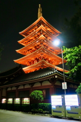 夜に映える朱の塔 夜に映える朱の塔