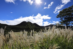 タデ原湿原
