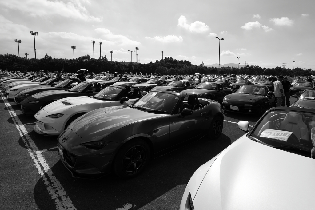 ROADSTER JAMBOREE 2025