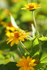 夏からずっと輝く笑顔