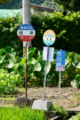 極楽で降りませんか?