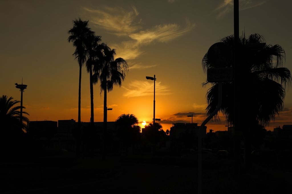南国の夕日