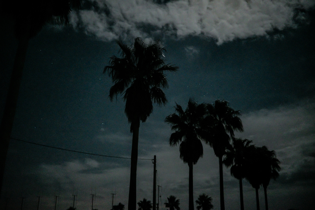 月夜