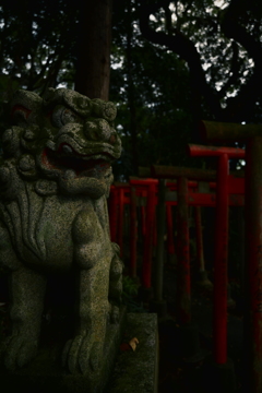 早朝の境内