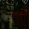 早朝の境内