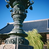 高田本山 御影堂