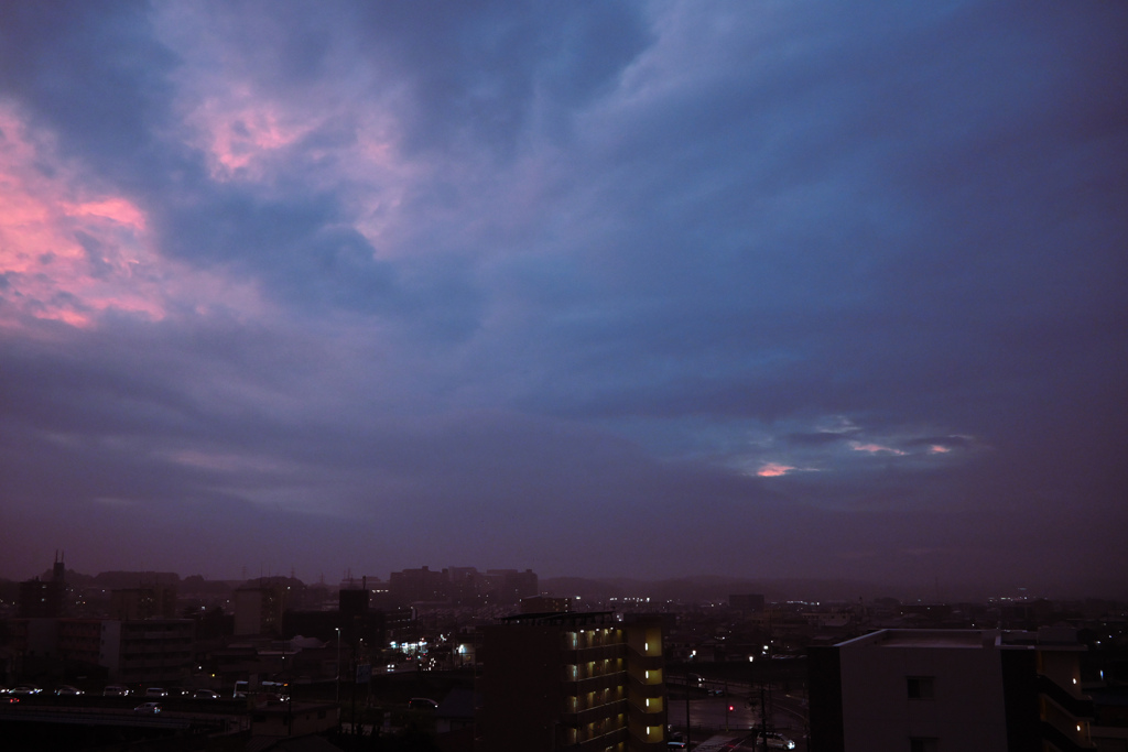 雨上がりのご褒美タイム
