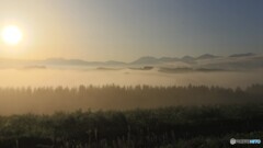 雲海