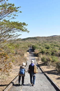 三原山へ続く登山道