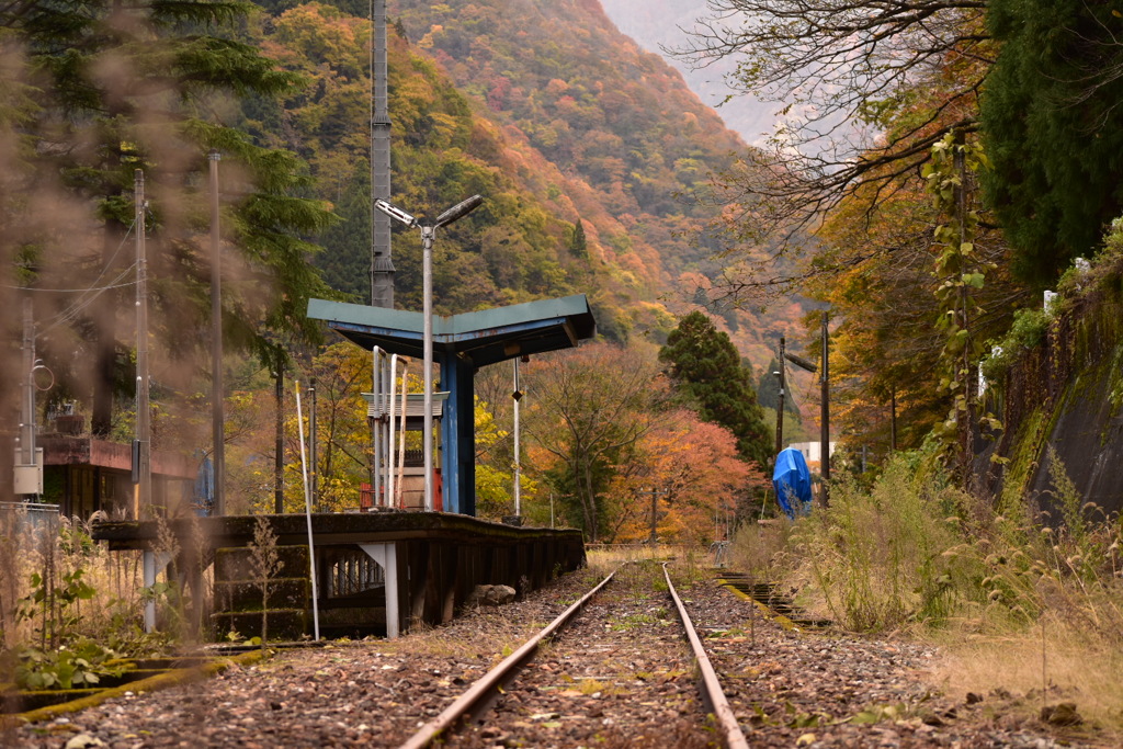 色づく廃駅