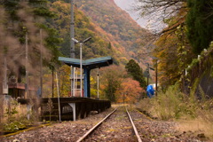 色づく廃駅