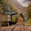 色づく廃駅