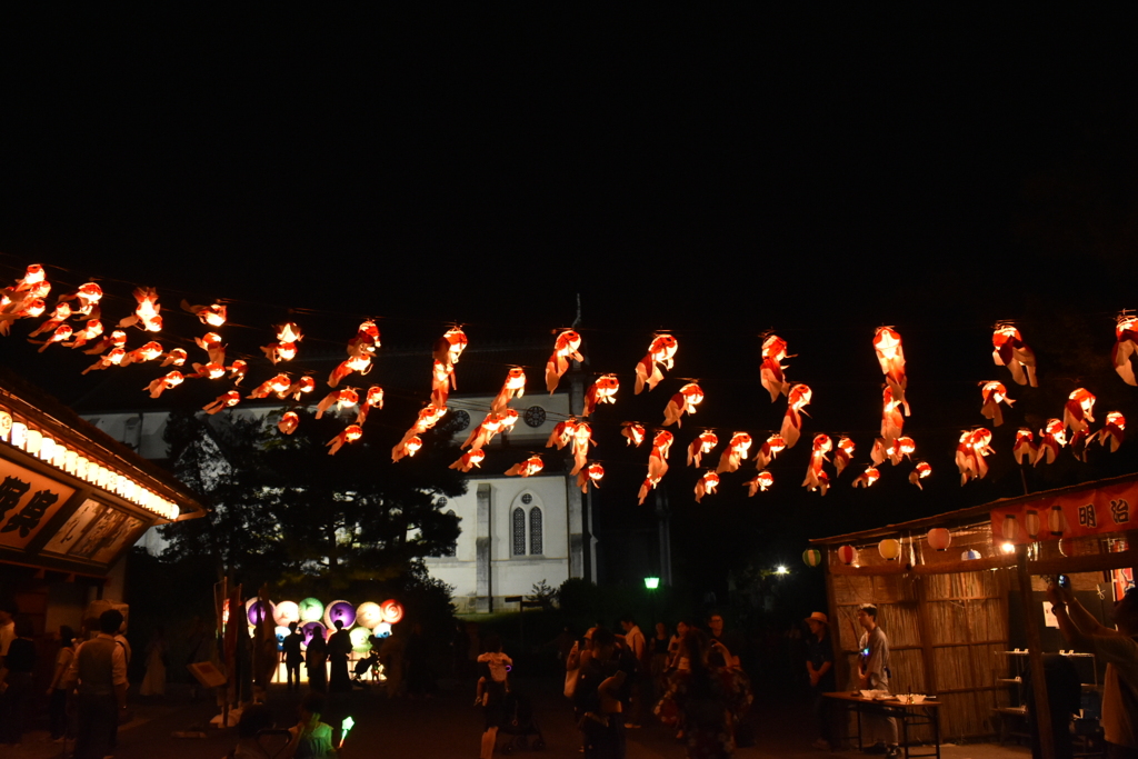 夜の空を泳ぐ金魚達
