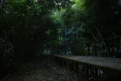竹林に還る廃駅