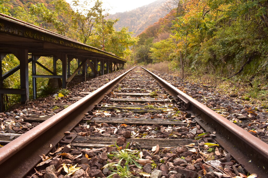 過去へ延びる線路