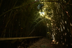 竹林に還る駅2