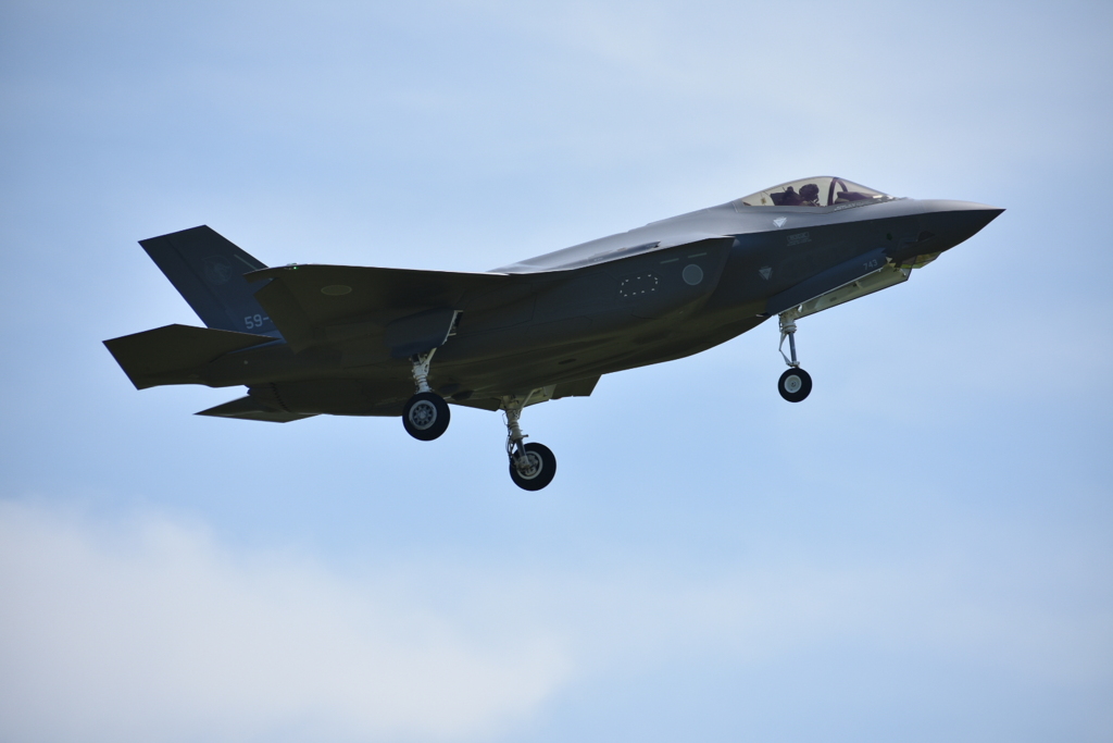 2025年のニューフェイス