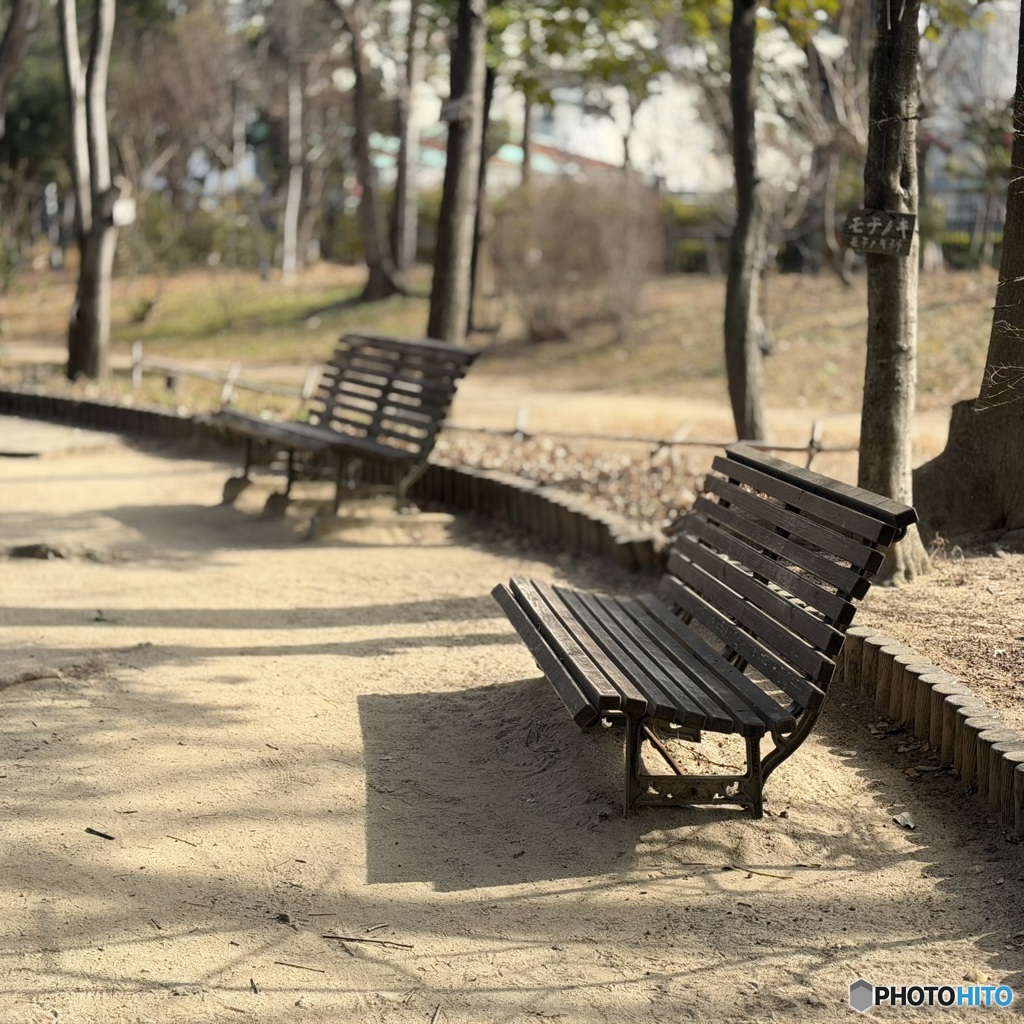 2026年2月5日　ポートレートモード試し撮り