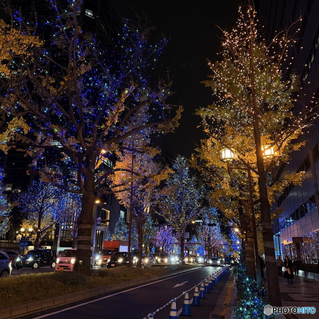 2025年　大阪・御堂筋