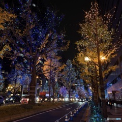 2025年　大阪・御堂筋