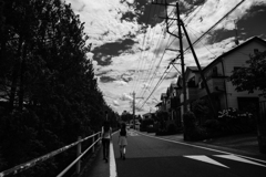 穏やかな日々