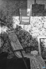 ショウウインドウ