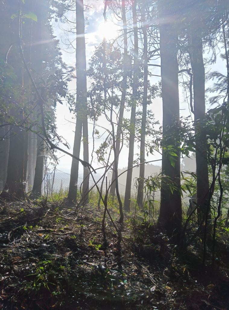 日本一の石段の頂上