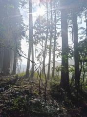 日本一の石段の頂上